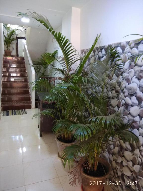 Hotel Alegro Homes Palolem